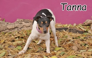 Möchtest du der Mensch sein, der Tanna zeigt, dass sie endlich ankommen darf.