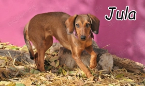 Möchtest du Jula die Chance auf dieses neue Kapitel schenken?