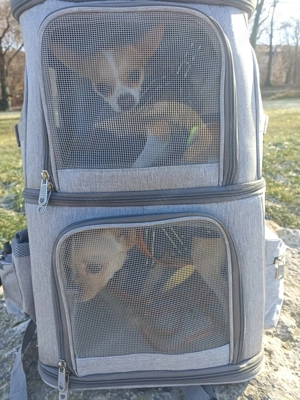 Hunde Katzenrucksack Doppelfach grau 