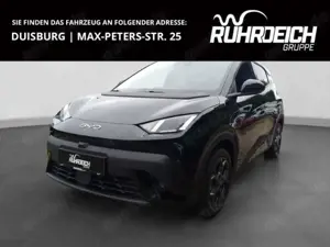 BYD Dolphin Navi Leder Digitales Cockpit 360 Kamera LED Apple