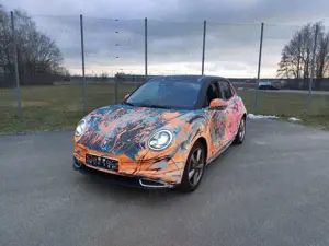Ora Funky Cat Funky Cat 300 Pro Artcar Kunstauto