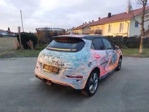 Ora Funky Cat Funky Cat 300 Pro Artcar Kunstauto Bild 4