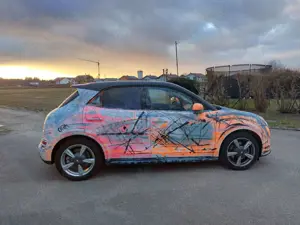 Ora Funky Cat Funky Cat 300 Pro Artcar Kunstauto Bild 5