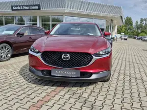 Mazda CX-30 2.0L e-SKYACTIV X 186ps Automatik Exclusive-line M Bild 3