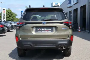 Subaru Forester 2.0ie Trend MJ 2025 neues Modell Bild 4
