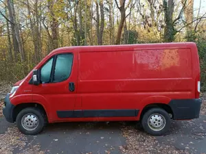 Fiat Ducato L1H1 teilverglast SS Bild 4