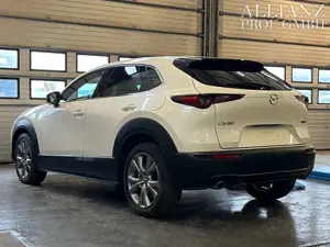 Mazda CX-30 Basis 2WD ACC Kamera CarPlay Wasserschaden Bild 4