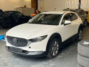Mazda CX-30 Basis 2WD ACC Kamera CarPlay Wasserschaden Bild 3