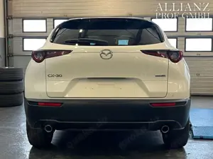 Mazda CX-30 Basis 2WD ACC Kamera CarPlay Wasserschaden Bild 5