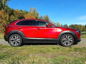 Mazda CX-30 CX-30 SKYACTIV-G 2.0 M-Hybrid 150 Aut. SELECTION Bild 2