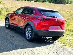 Mazda CX-30 CX-30 SKYACTIV-G 2.0 M-Hybrid 150 Aut. SELECTION Bild 5