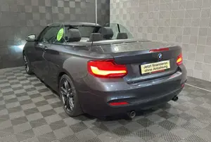 BMW 240 Cabrio*ALCANTARA*LED-HK-ACC-MEMO-R.KAM-18 Bild 3