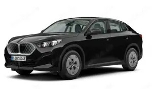 BMW iX2 xDrive30 17"LM Navi LED RFK Shz PDC