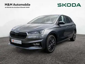 Skoda Fabia 1.0 TSI Tour KLIMA PDC SHZ KAMERA LED