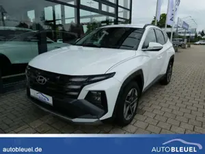 Hyundai TUCSON 1.6 Ltr. 2WD Hybrid*Style*SHZ*Privacy*