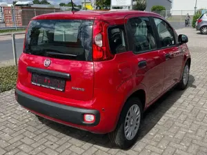 Fiat Panda 1.0 GSE Hybrid, Tageszulassung Bild 4
