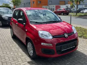 Fiat Panda 1.0 GSE Hybrid, Tageszulassung Bild 3