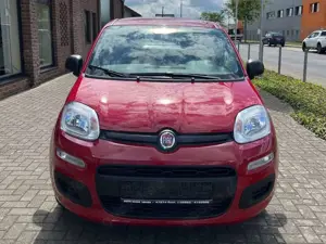 Fiat Panda 1.0 GSE Hybrid, Tageszulassung Bild 2