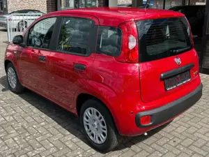 Fiat Panda 1.0 GSE Hybrid, Tageszulassung Bild 5