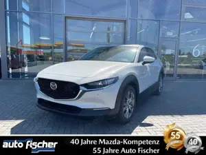 Mazda CX-30 2.5 (140PS) Schalter. Exclusive-Line Sitzh