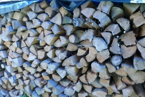 Brennholz Fichte Meterscheiter Bild 2