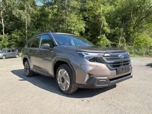 Subaru Forester 2.0 ie 100kW Exclusive NAVI  PANORAMADACH DAB LED Bild 2