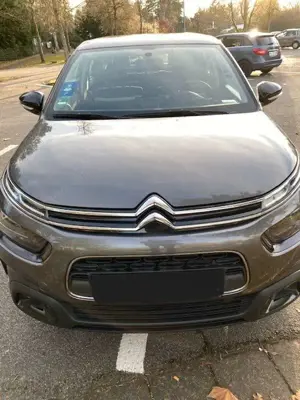 Citroen C4 Cactus PureTech 110 Stop Bild 2