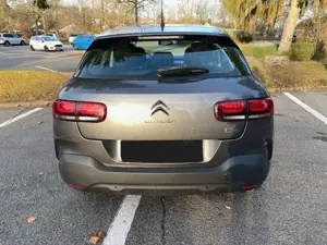 Citroen C4 Cactus PureTech 110 Stop Bild 4