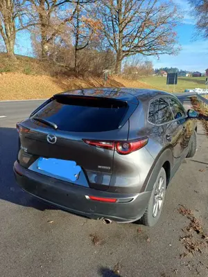 Mazda CX-30 e-SKYACTIV-G 2.0 M HYBRID 150 AWD DRIVE SELECTION Bild 3
