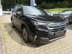 Subaru Forester 2.0ie Exclusive Cross El. Panodach Navi Memory Sit Bild 4