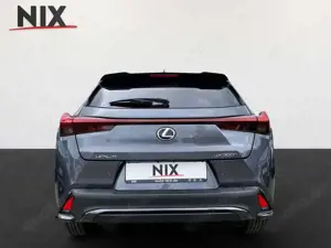 Lexus UX 300h 2.0 Hybrid F-Sport Design LED SHZ Bild 4