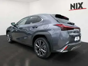Lexus UX 300h 2.0 Hybrid F-Sport Design LED SHZ Bild 2
