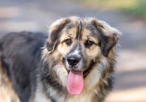 Dick sucht neue liebe Menschen