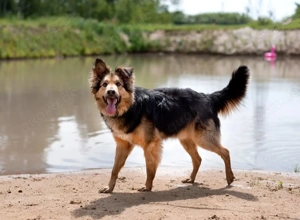 Flauschiger Wei sucht seine Familie