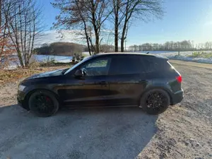 Audi SQ5 SQ5 3.0 TDI quattro tiptronic plus Bild 4