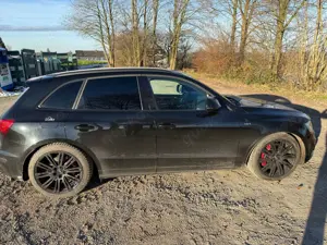 Audi SQ5 SQ5 3.0 TDI quattro tiptronic plus Bild 3