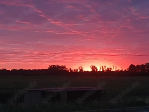 Gegenseitig Zuschauen 