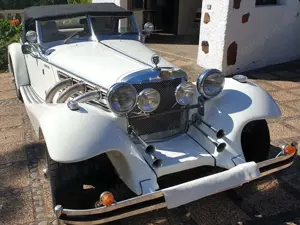 Others Others GFG-Elisar