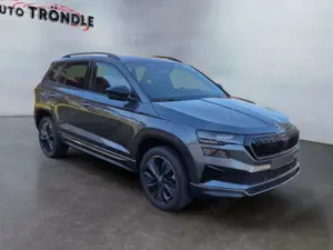Skoda Karoq Bild 3