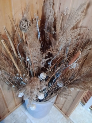 Dir ist Squirting kein Fremdwort 