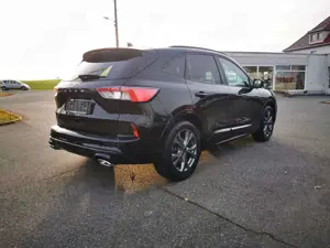 Ford Kuga Kuga 1.5 EcoBoost ST-Line Bild 3