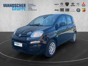 Fiat Panda MY25- Hybrid 1.0 GSE 51kw 70PS PDC