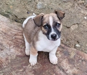 ZERINE - kleine Frohnatur *reserviert*