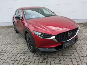 Mazda CX-30 2.5l (140PS) Homura AHK Navi LED Kamera Head-up Bild 3