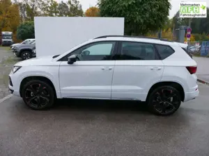 CUPRA Ateca 2,0 TSI DSG 4x4*AHK-SCHWENKBAR*NAVI*PDC*KAMERA*... Bild 4