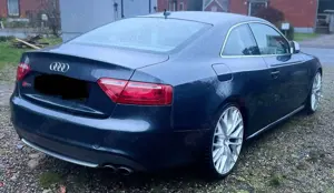 Audi S5 Bild 2
