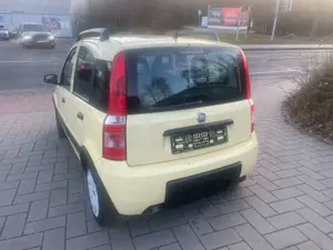Fiat Panda Bild 4