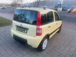 Fiat Panda Bild 3