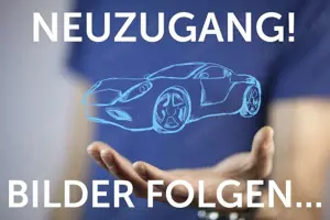 Skoda Kamiq 1.5 TSI ACT DSG Monte Carlo Navi LED AHK Bild 2