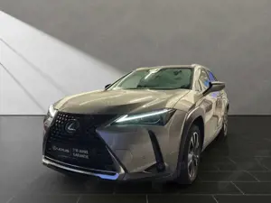Lexus UX 250h 250h*STYLE*1HD*CARPLAY*PDC 15J-GARANTIE